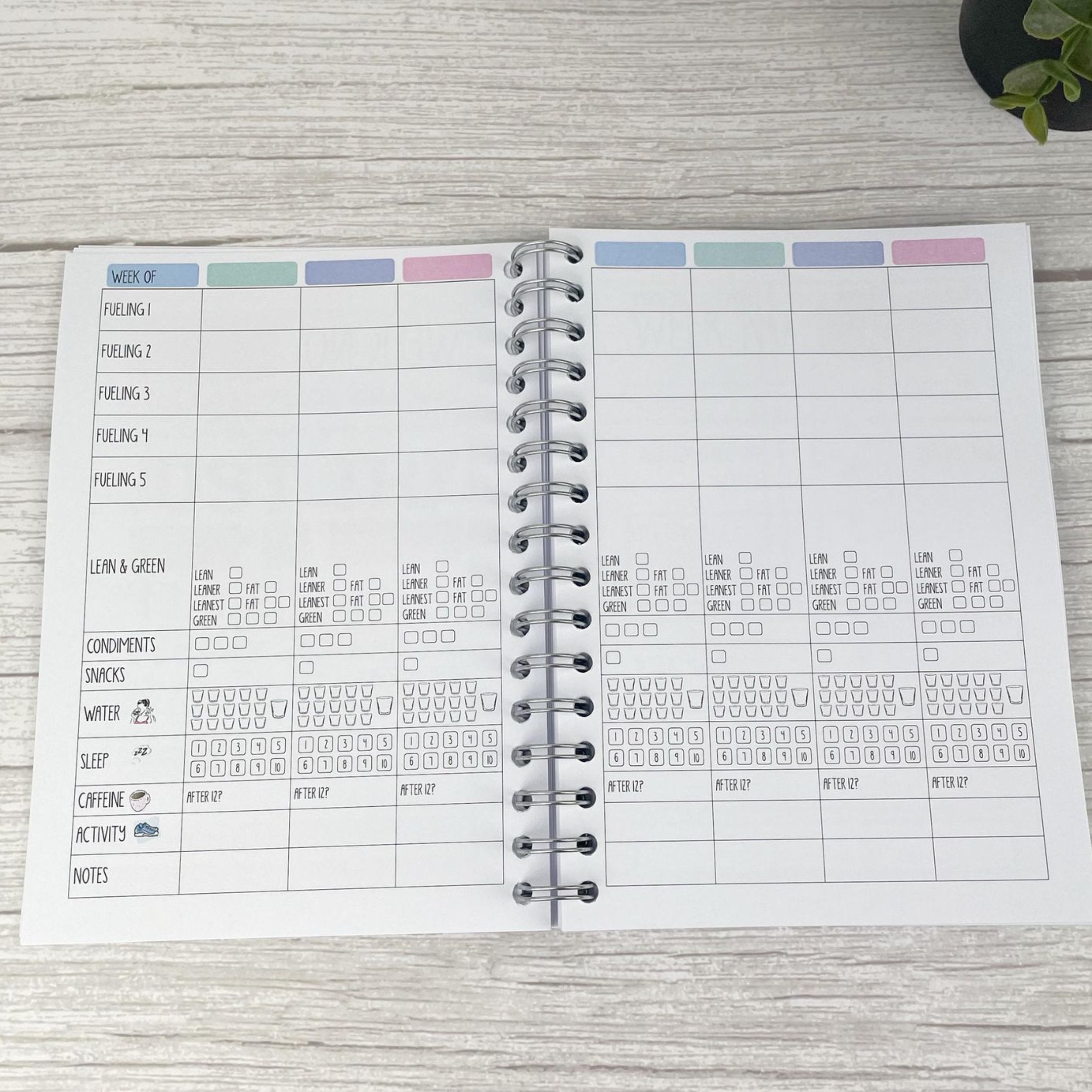 Optavia 5/1 Food Diary - You Can Do It Blue