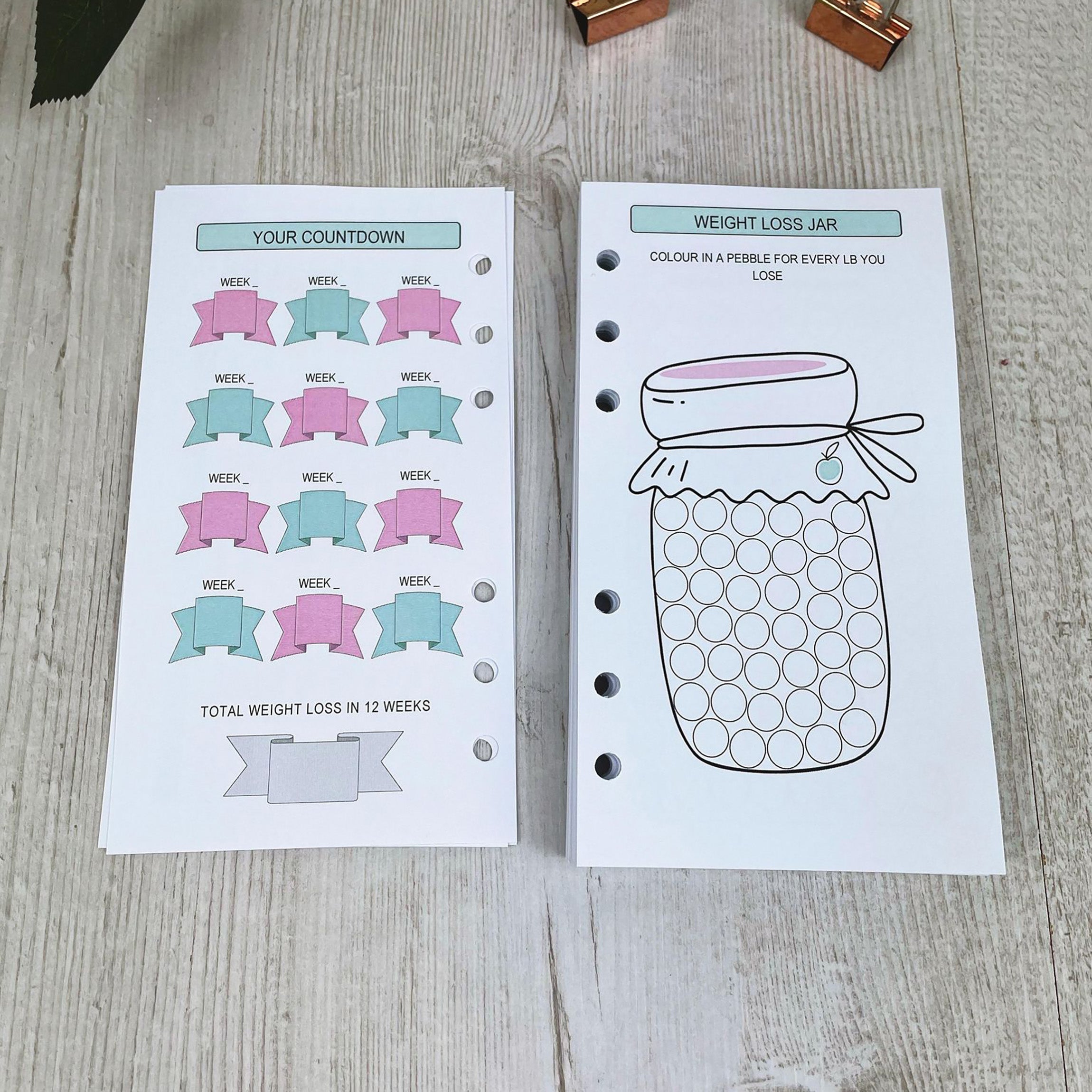 Food Diary Inserts - Personal Size Inserts