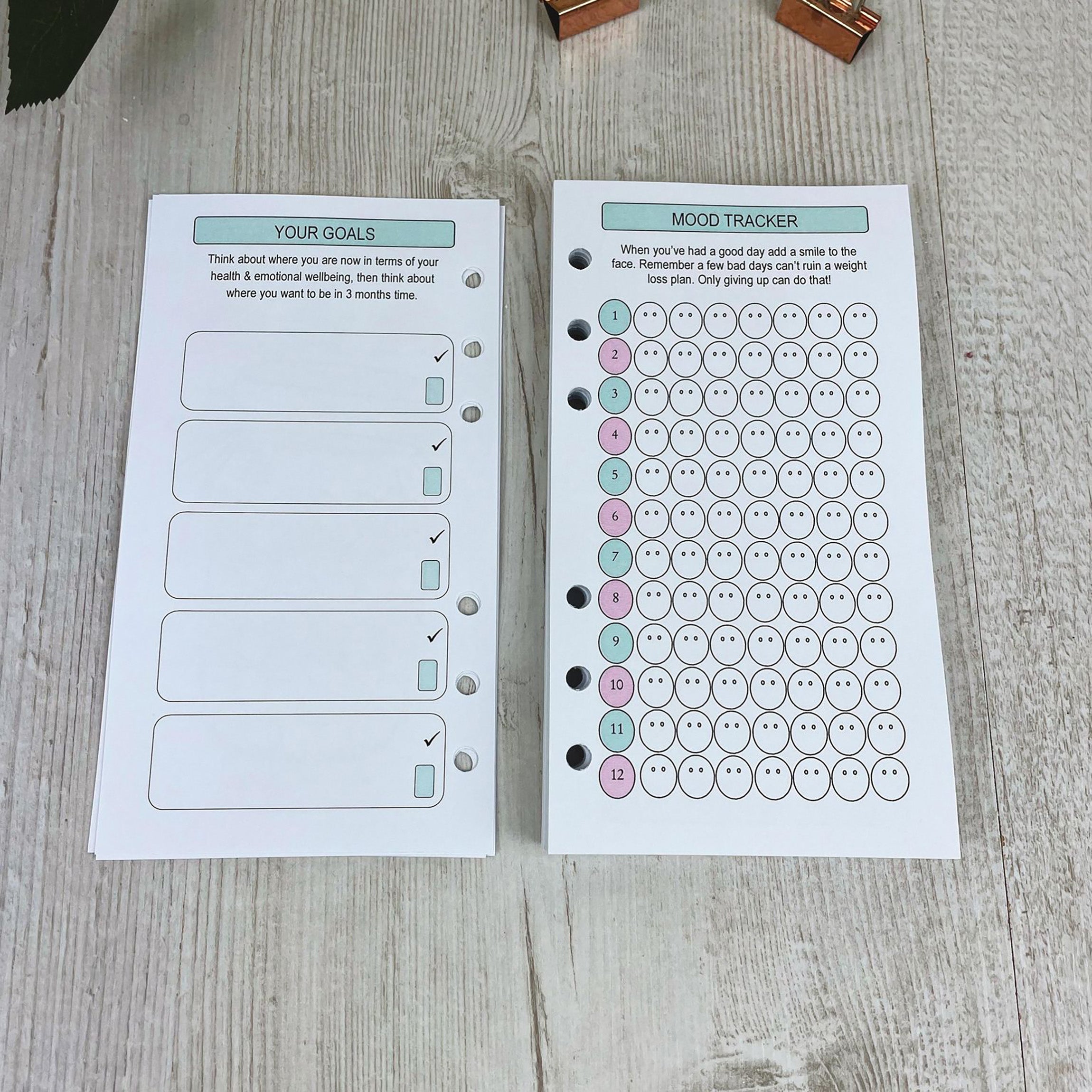 Food Diary Inserts - Personal Size Inserts