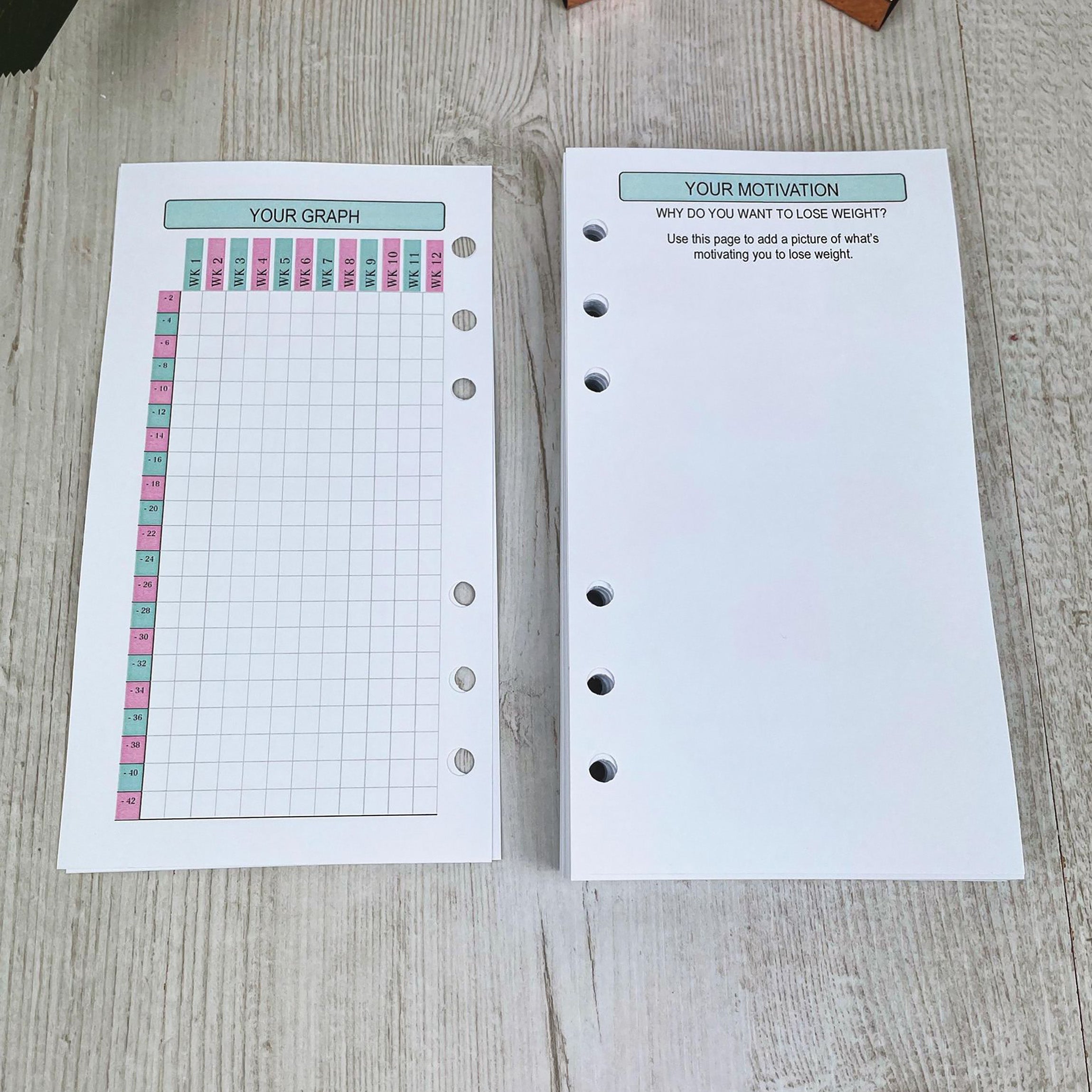 Food Diary Inserts - Personal Size Inserts