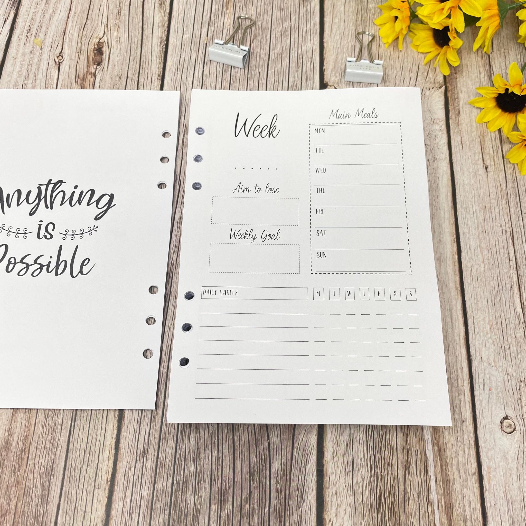 12 Month Food Diary Inserts - 365 Day Cover -A5 INSERTS