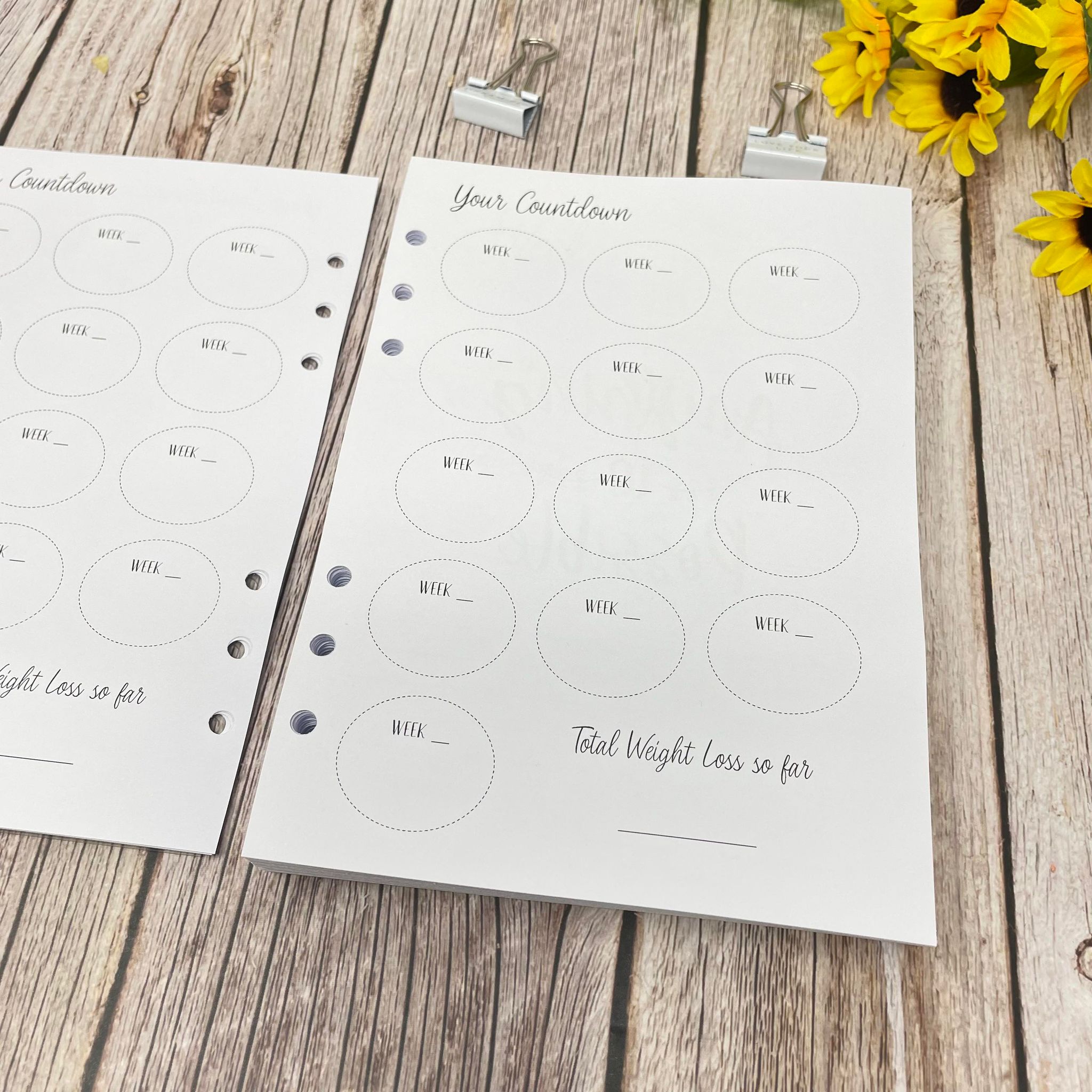 12 Month Food Diary Inserts - 365 Day Cover -A5 INSERTS