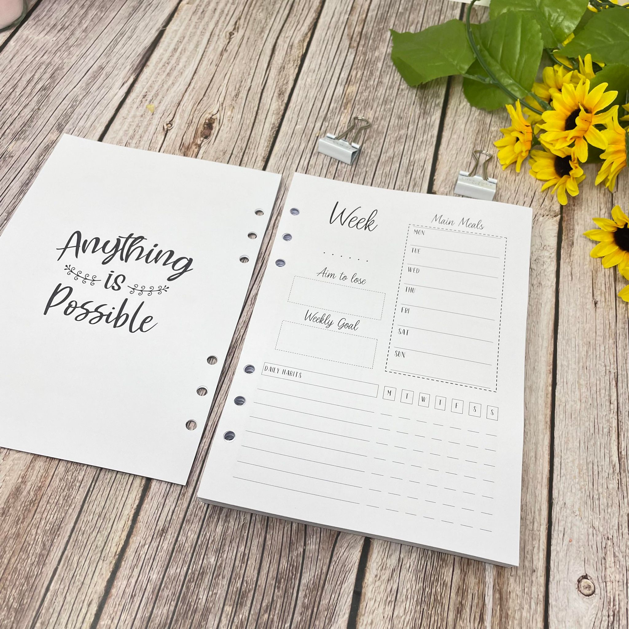 12 Month Food Diary Inserts - 365 Day Cover -A5 INSERTS