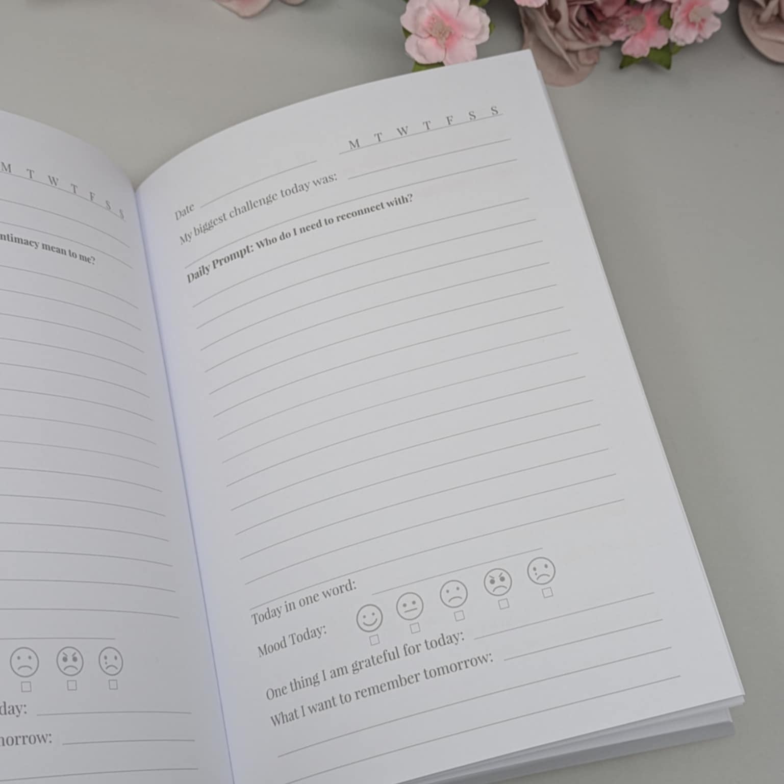 365 Day Guided Self Reflection Journal - The Year I Met Myself – Butterfly