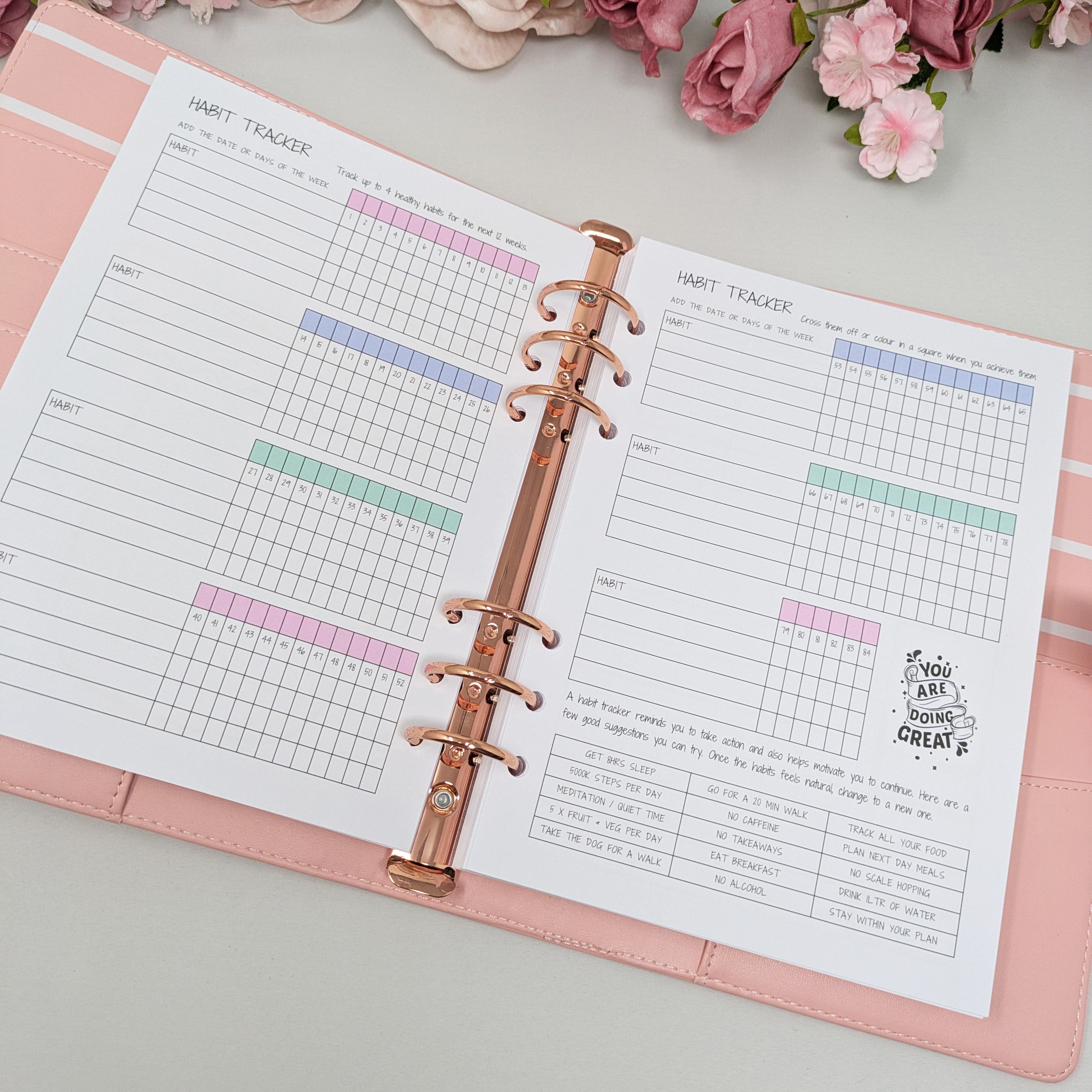 Pastel Food Diary Planner Inserts - Self Care - A5 Inserts
