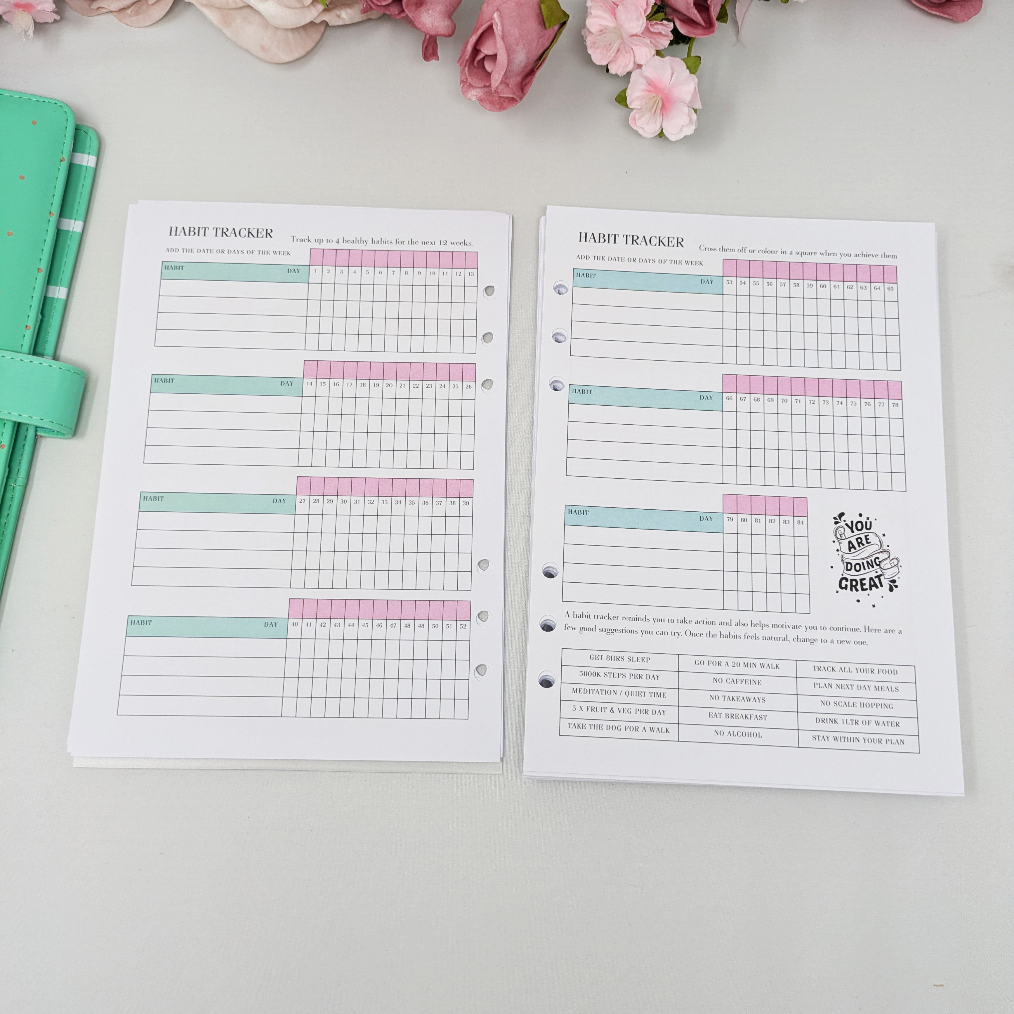 Deluxe Food Diary Inserts - Thank Yourself - A5 Inserts