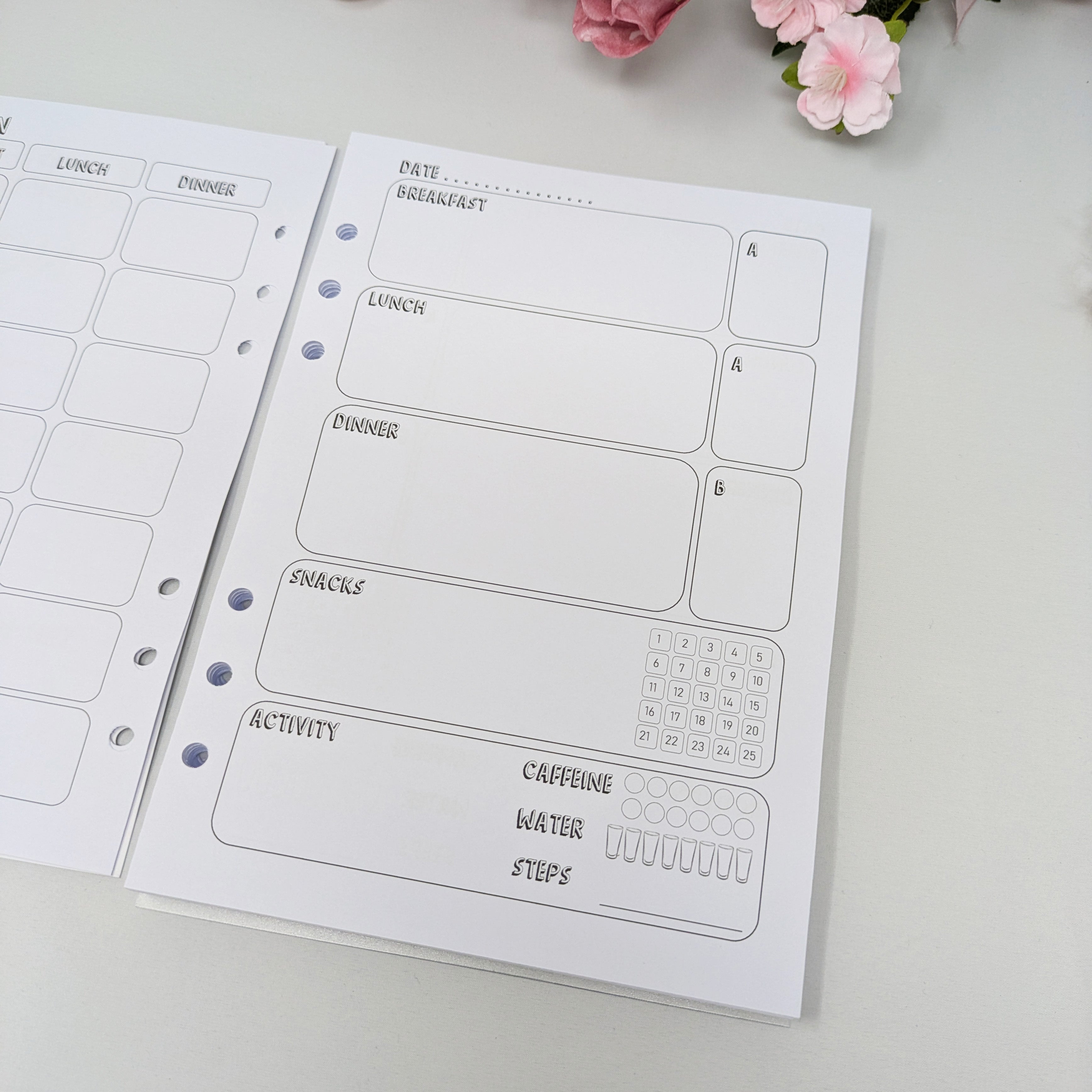 Slimming World Compatible Food Diary Inserts - A5 Size - SW9 Inserts