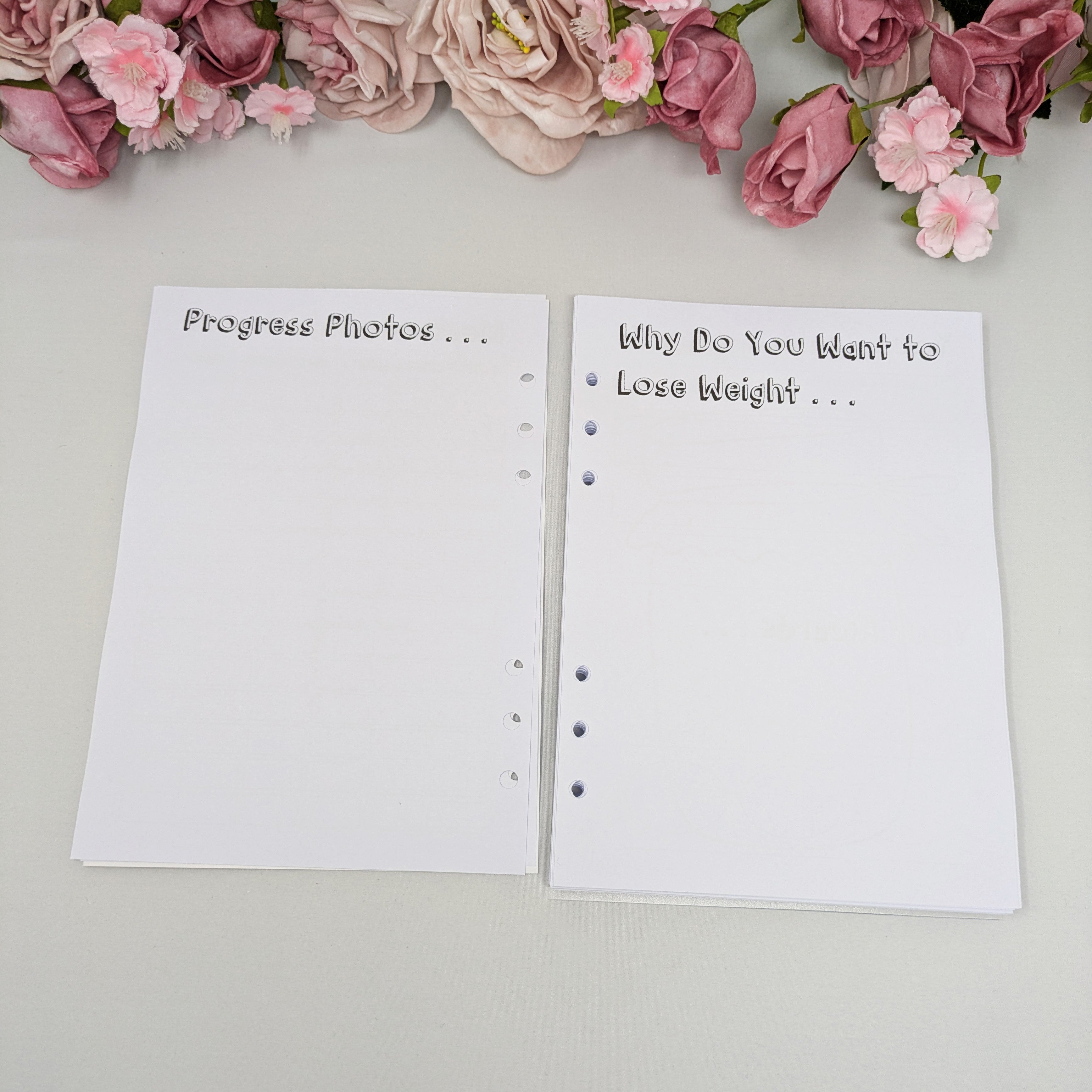 Slimming World Compatible Food Diary Inserts - A5 Size - SW9 Inserts