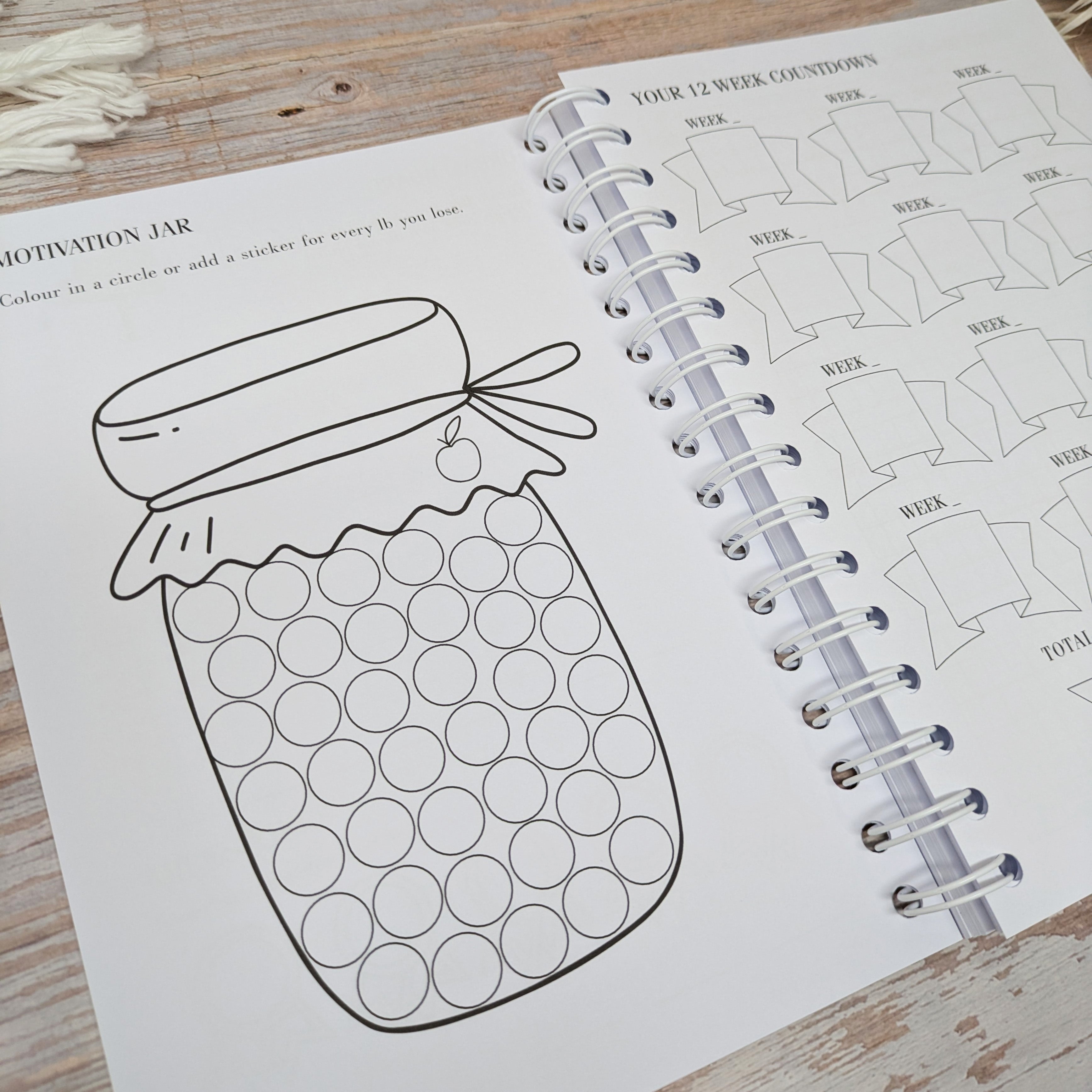 Slimming World Compatible Food Diary - Mono - Blue Wings