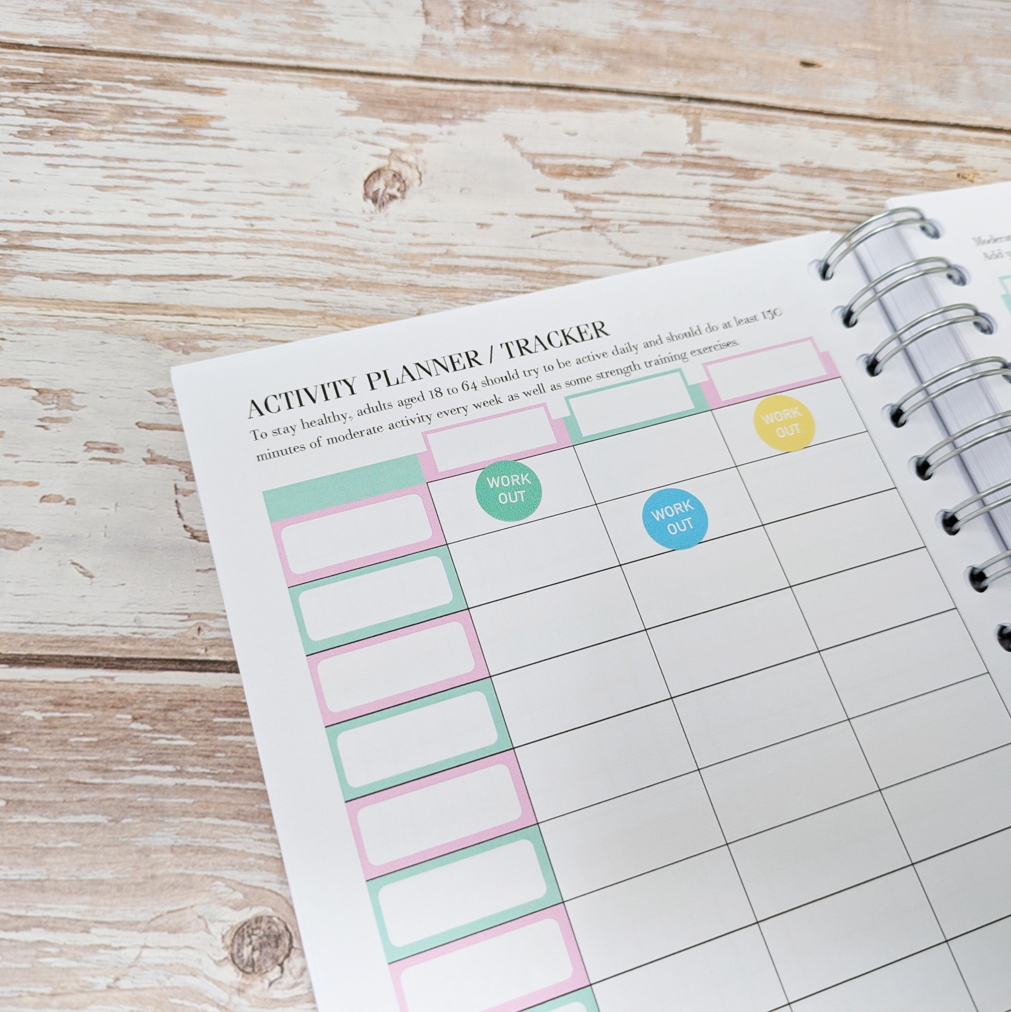 Deluxe Food Diary - Always Believe Pink