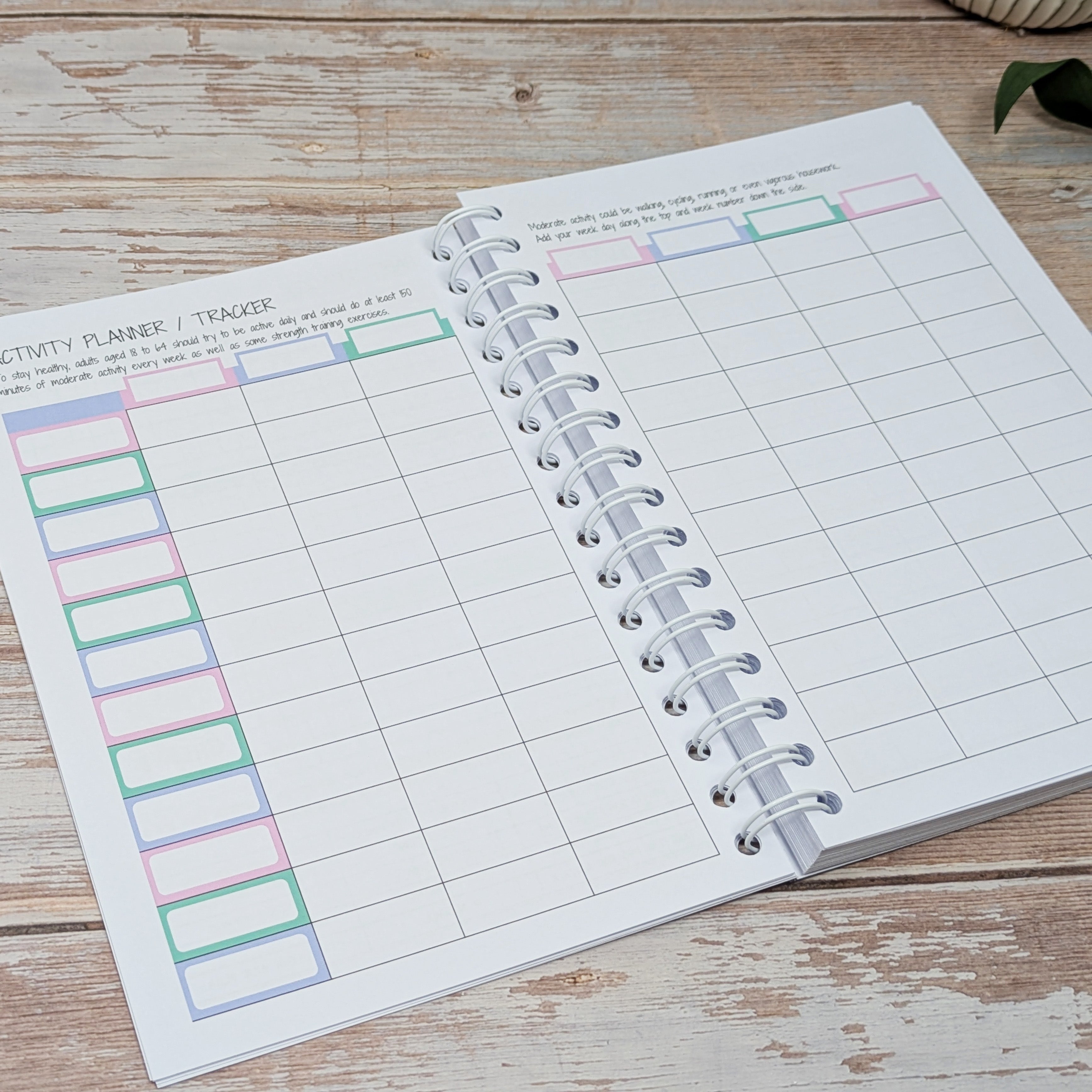 Slimming World Compatible Food Diary - Pastel - Flowers