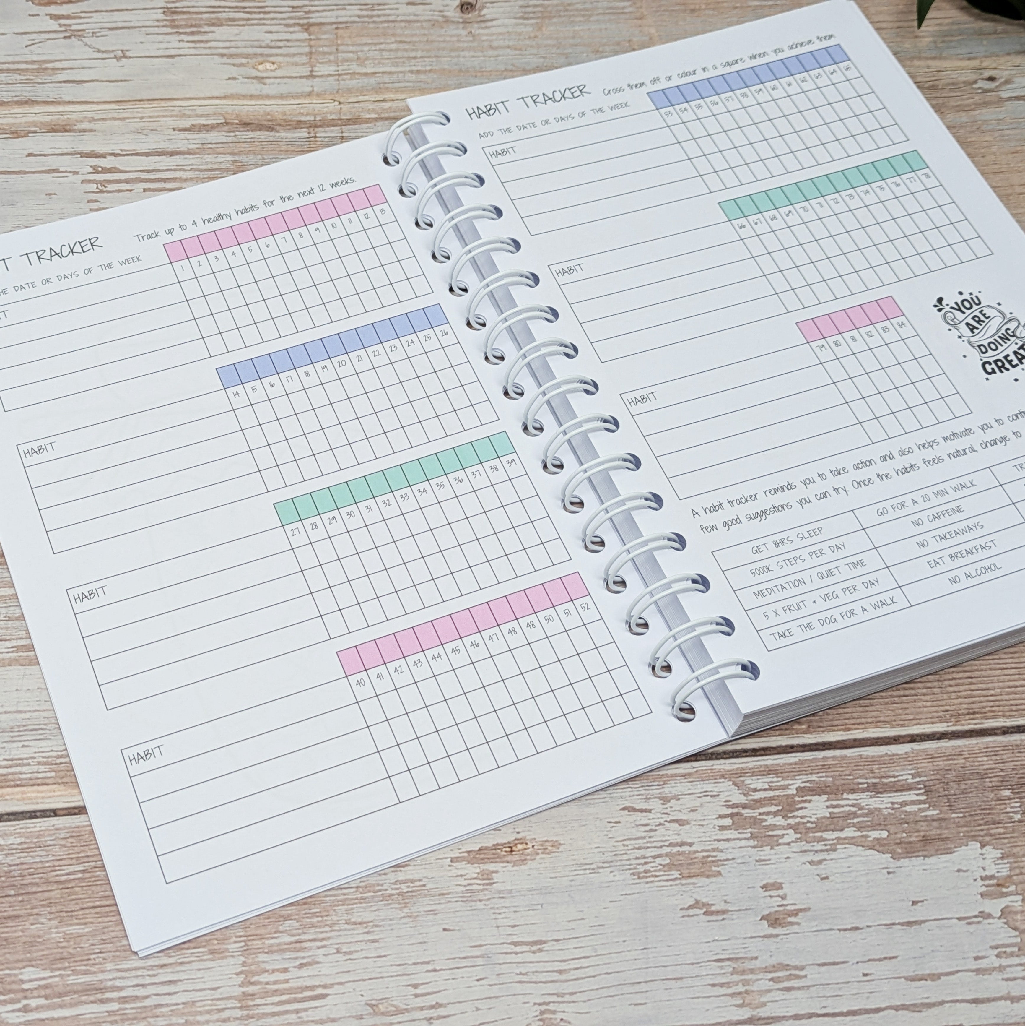 Slimming World Compatible Food Diary - Pastel - Flowers