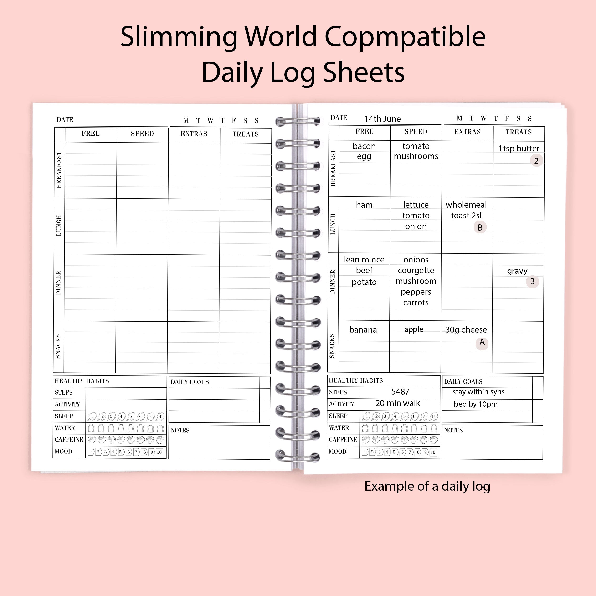 Slimming World Compatible Food Diary - Mono - Blue Wings
