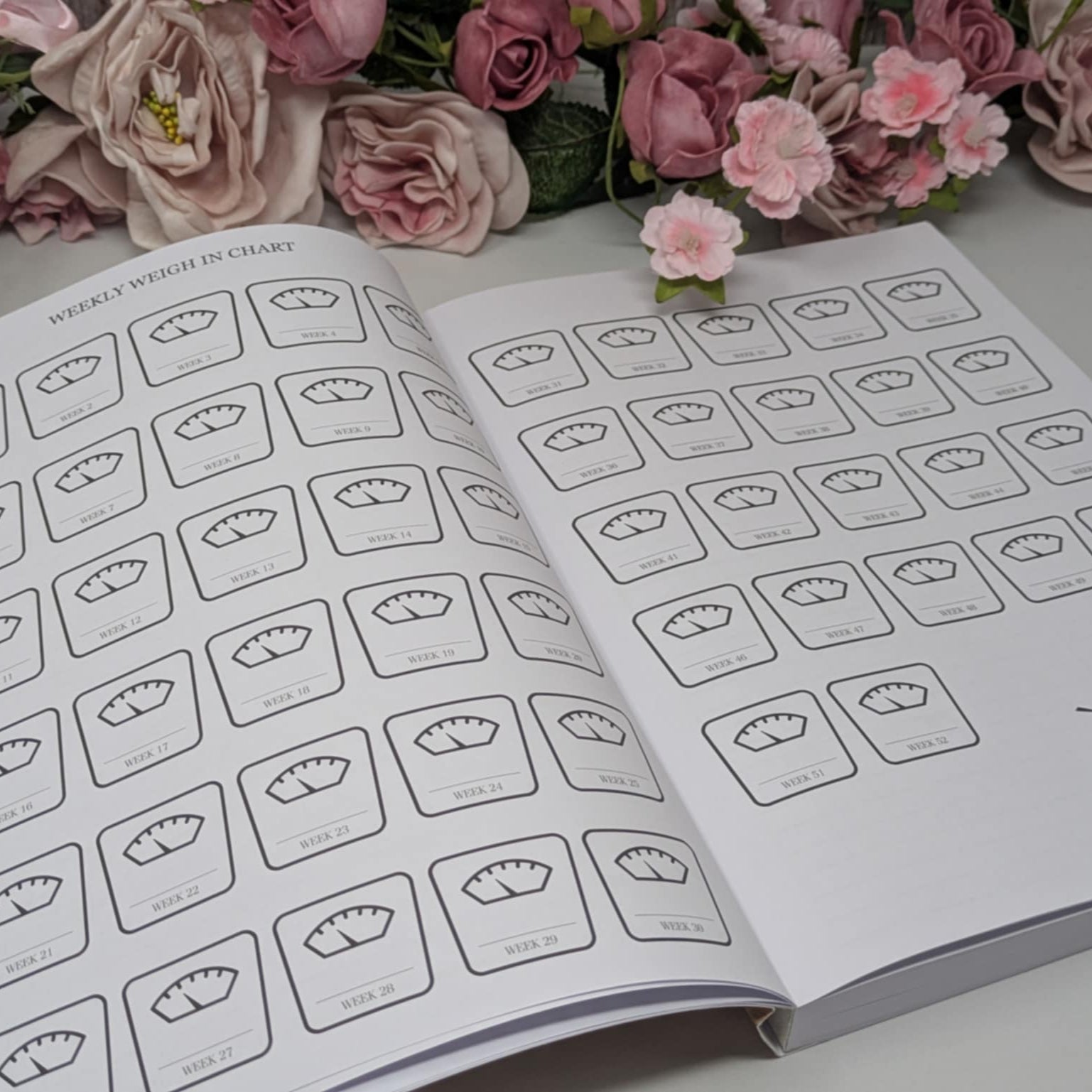 NEW - 12 Month Health & Fitness Planner - Bufferfly