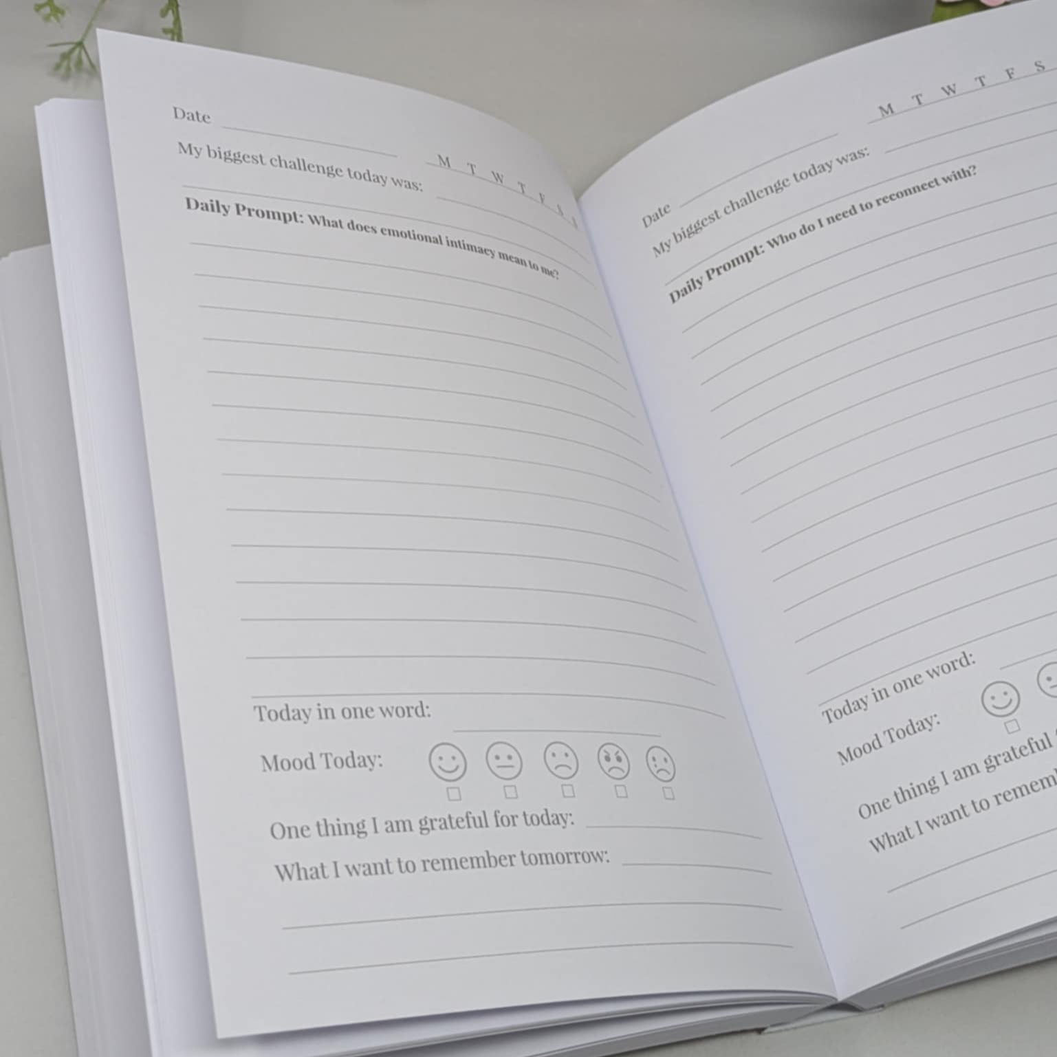 365 Day Guided Self Reflection Journal - The Year I Met Myself – Butterfly