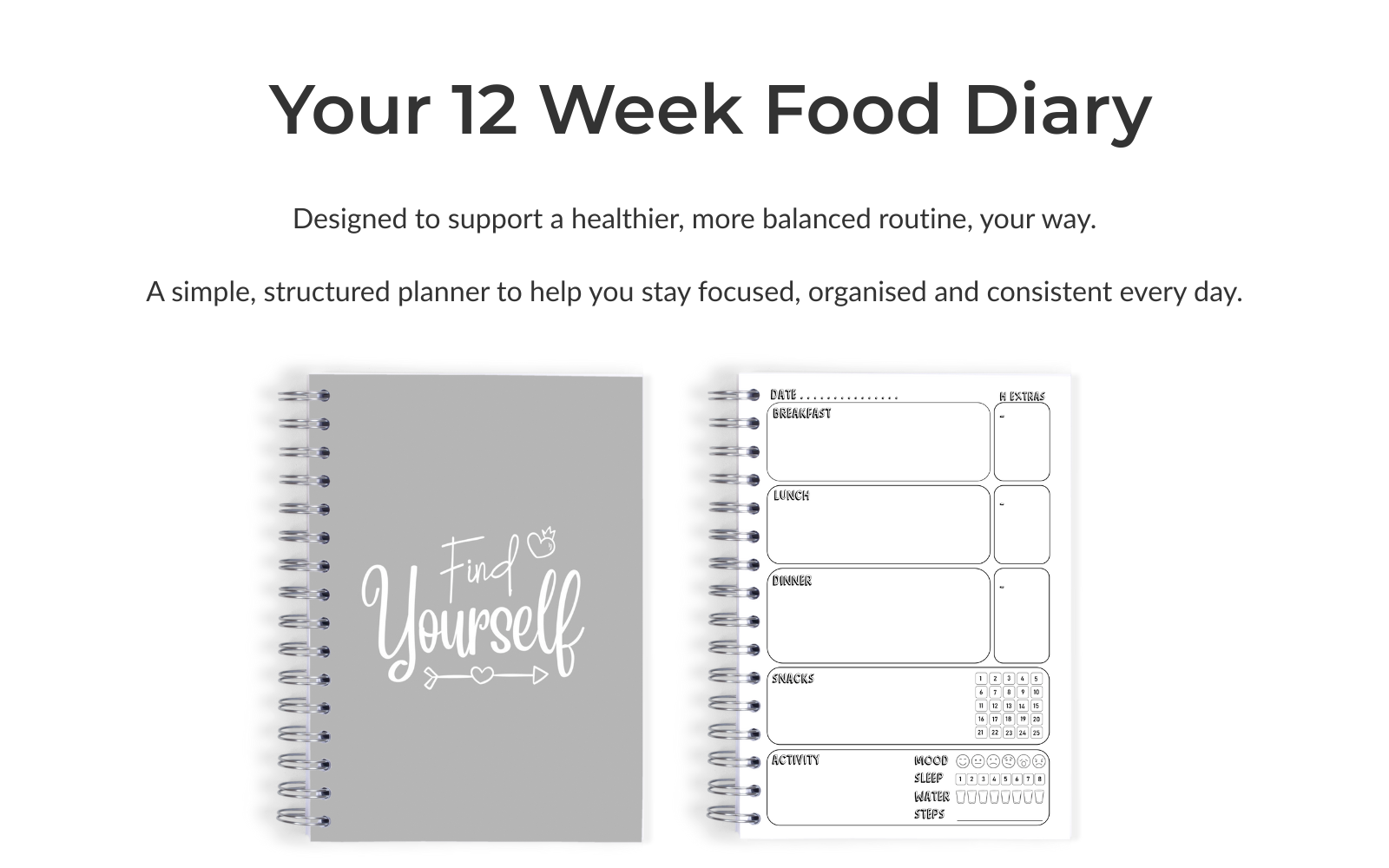 Slimming World Compatible Food Diary - Find Yourself