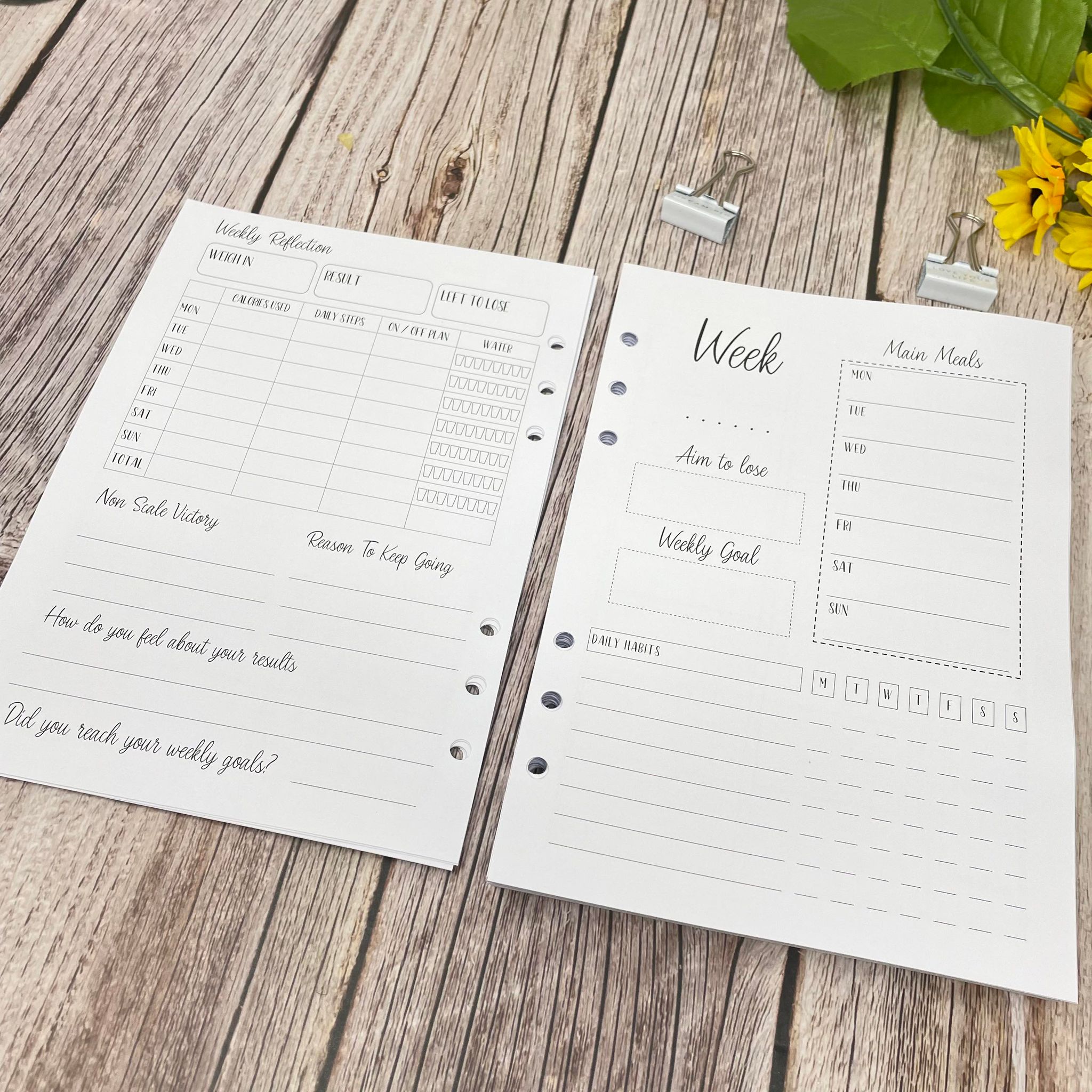 12 Month Food Diary Inserts - 365 Day Cover -A5 INSERTS