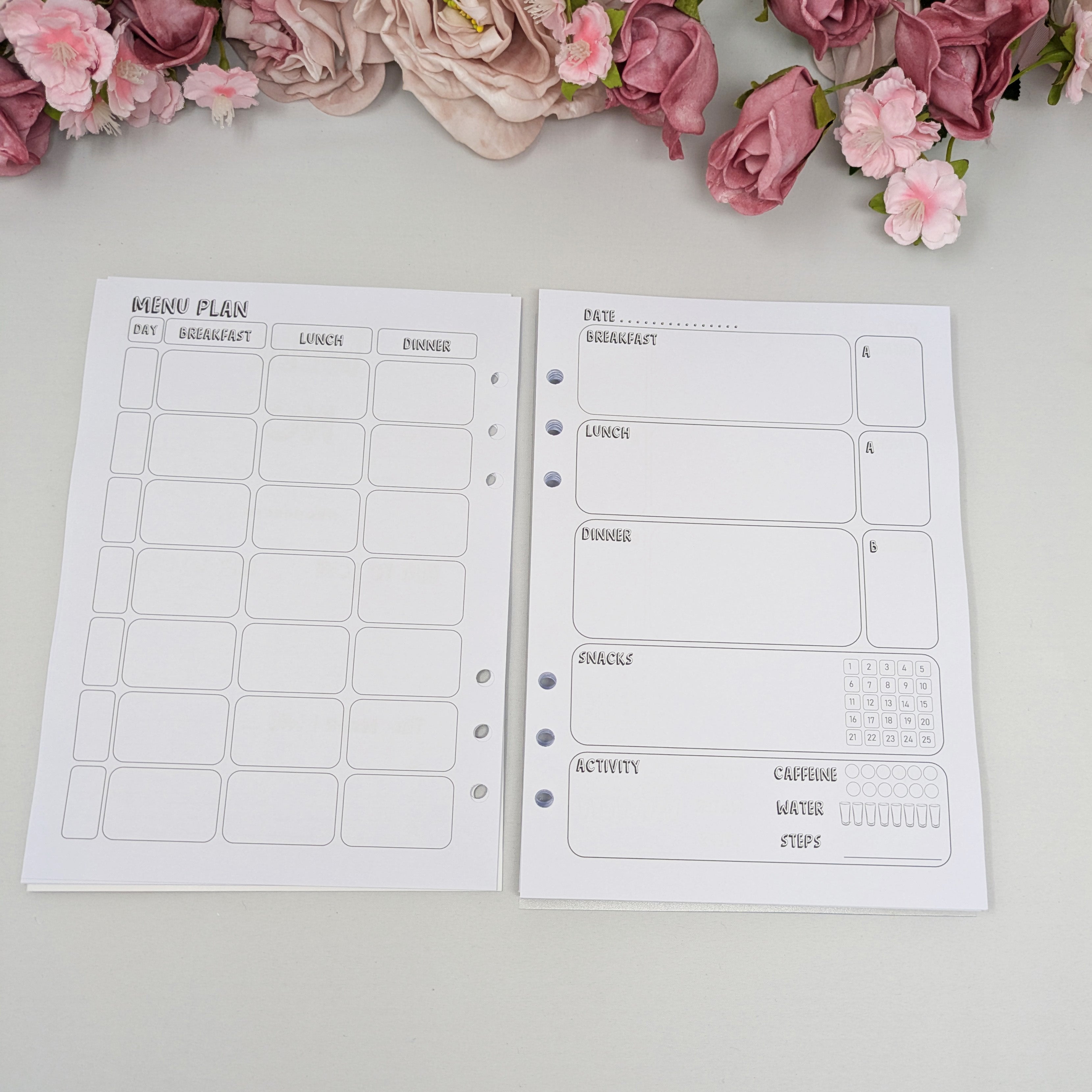 Slimming World Compatible Food Diary Inserts - A5 Size - SW9 Inserts